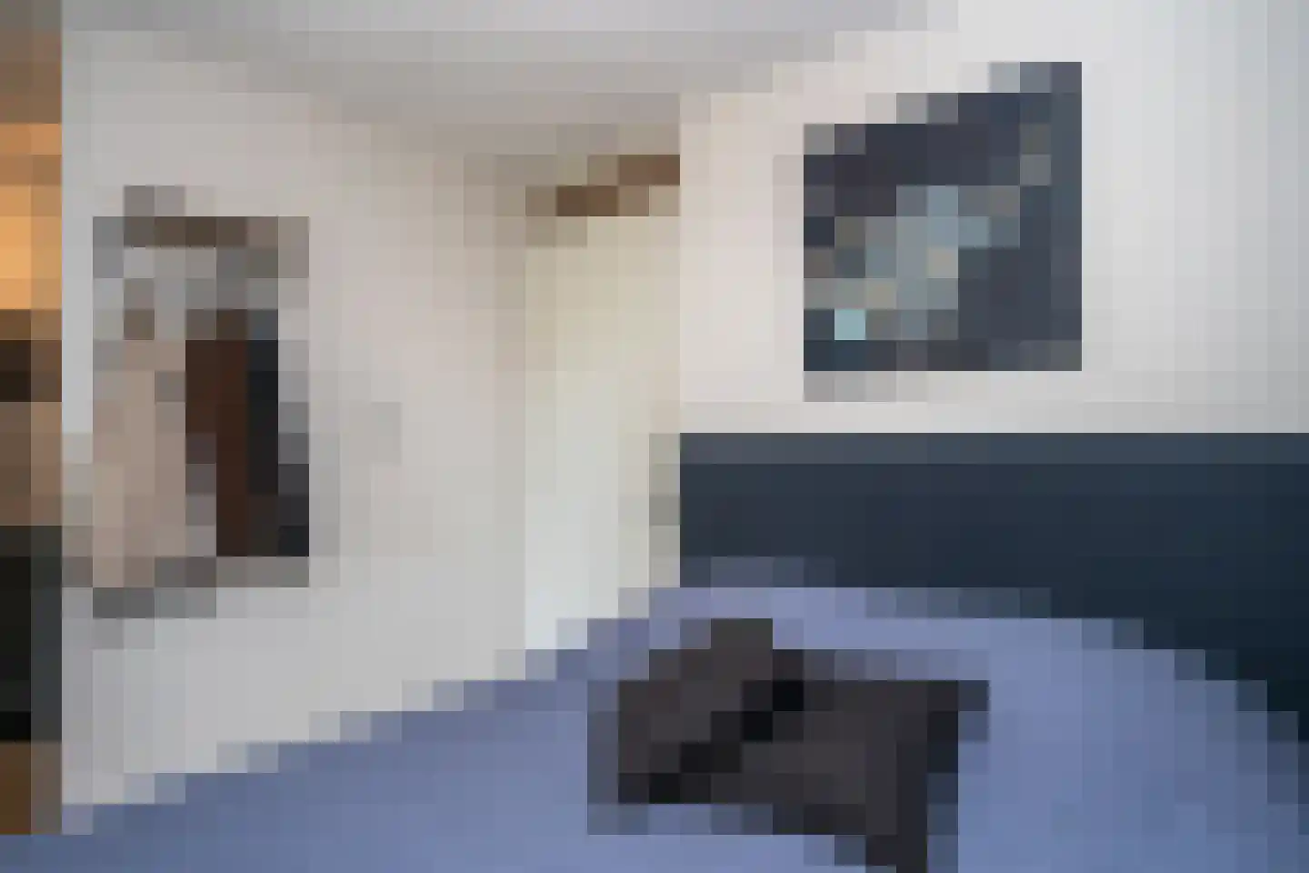 Nikadel 26 H De Koog thumbnail 23