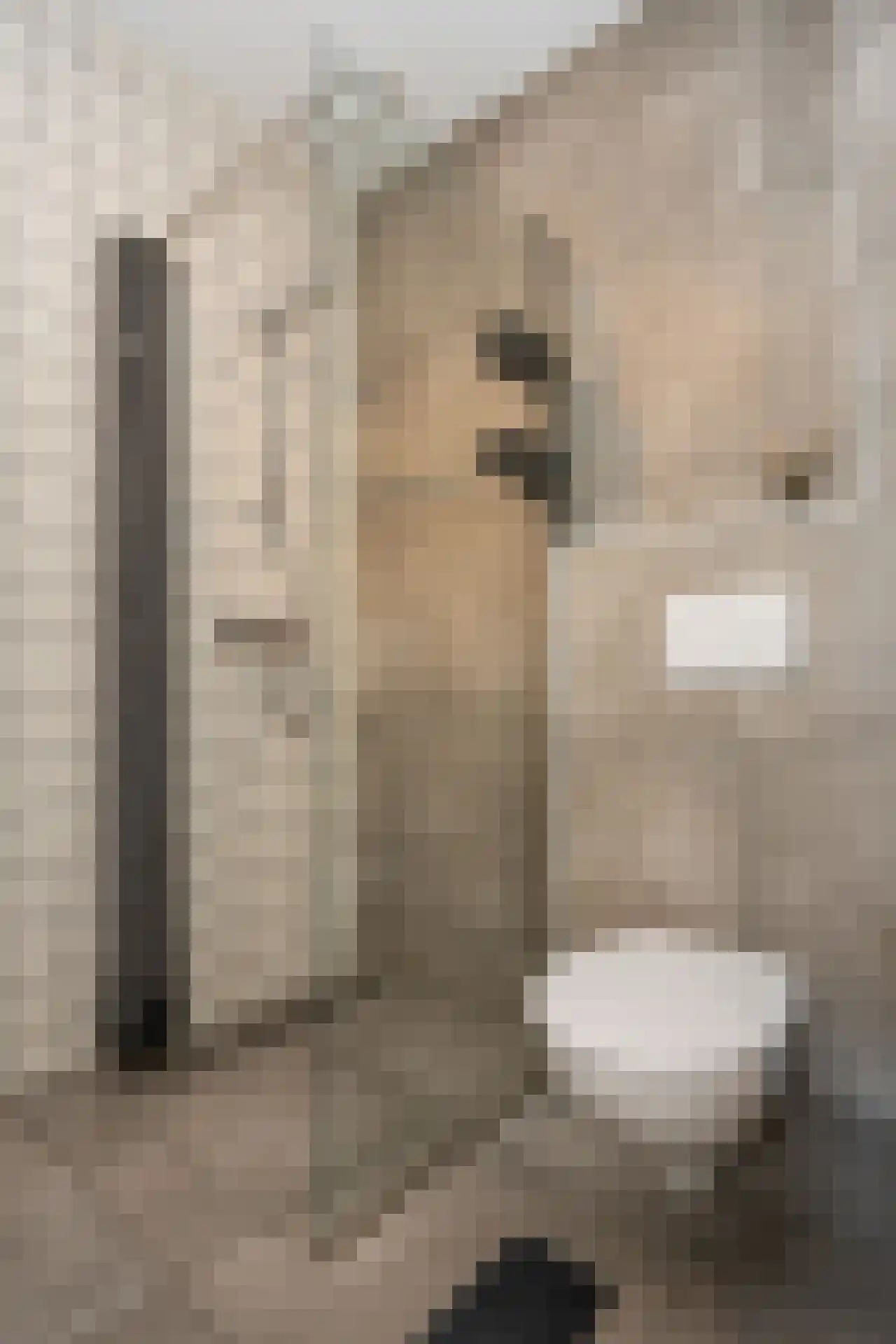 Nikadel 26 H De Koog thumbnail 26