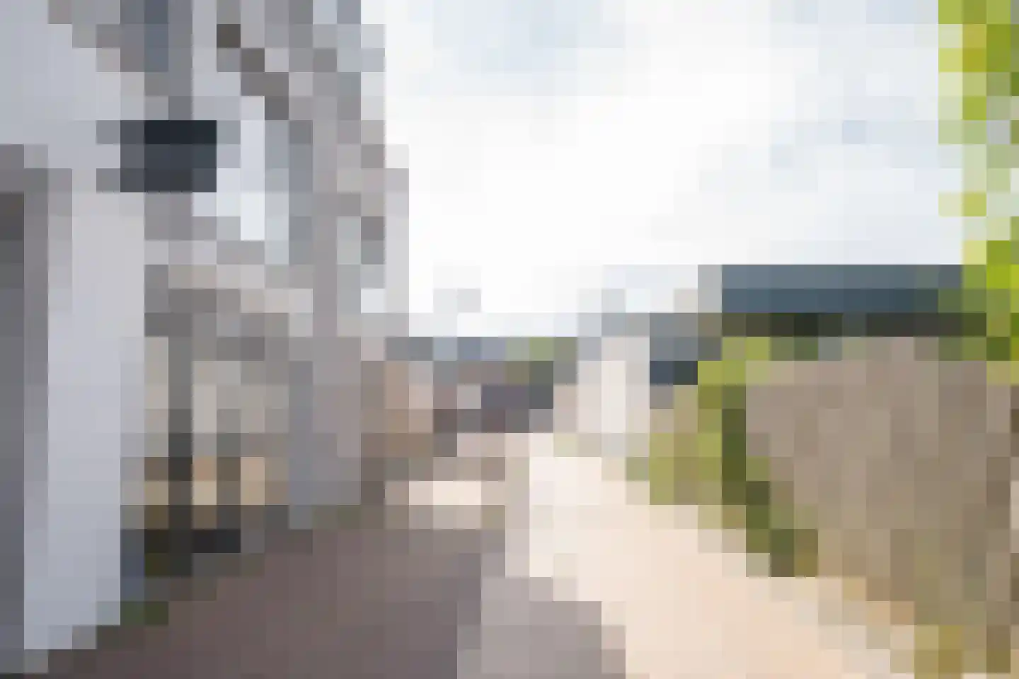Nikadel 26 H De Koog thumbnail 47