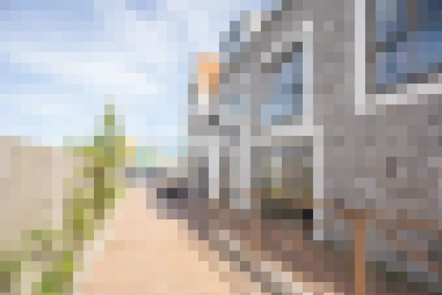 Nikadel 26 H De Koog thumbnail 48