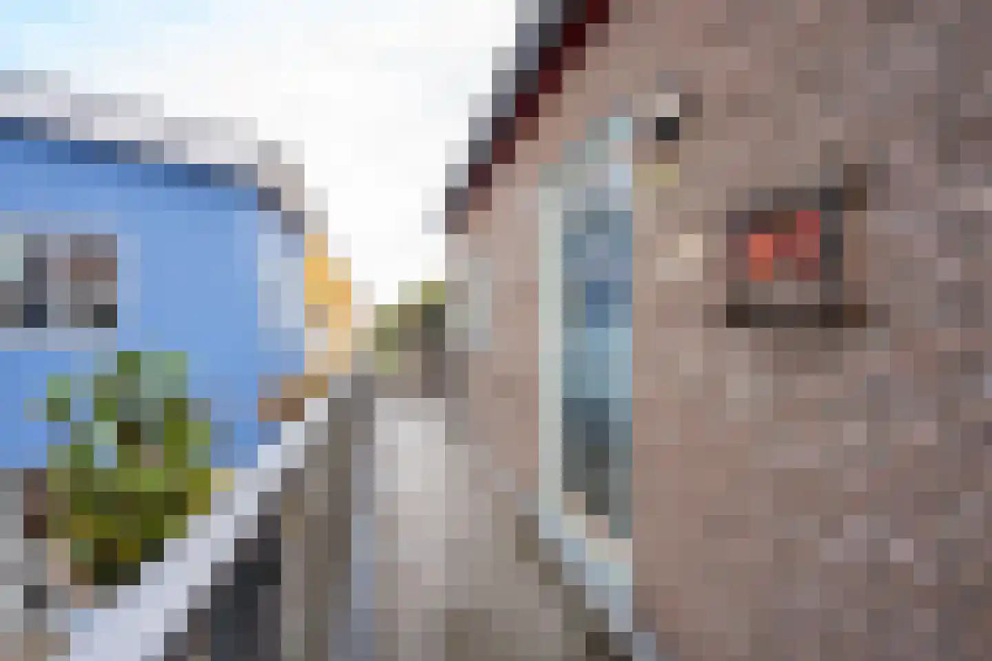 Nikadel 55 De Koog thumbnail 10