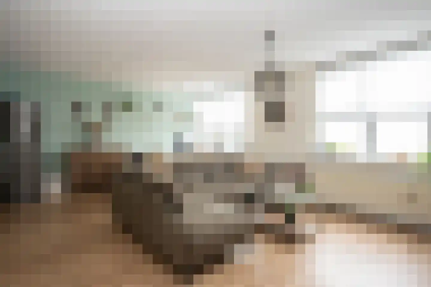 Nikadel 55 De Koog thumbnail 19