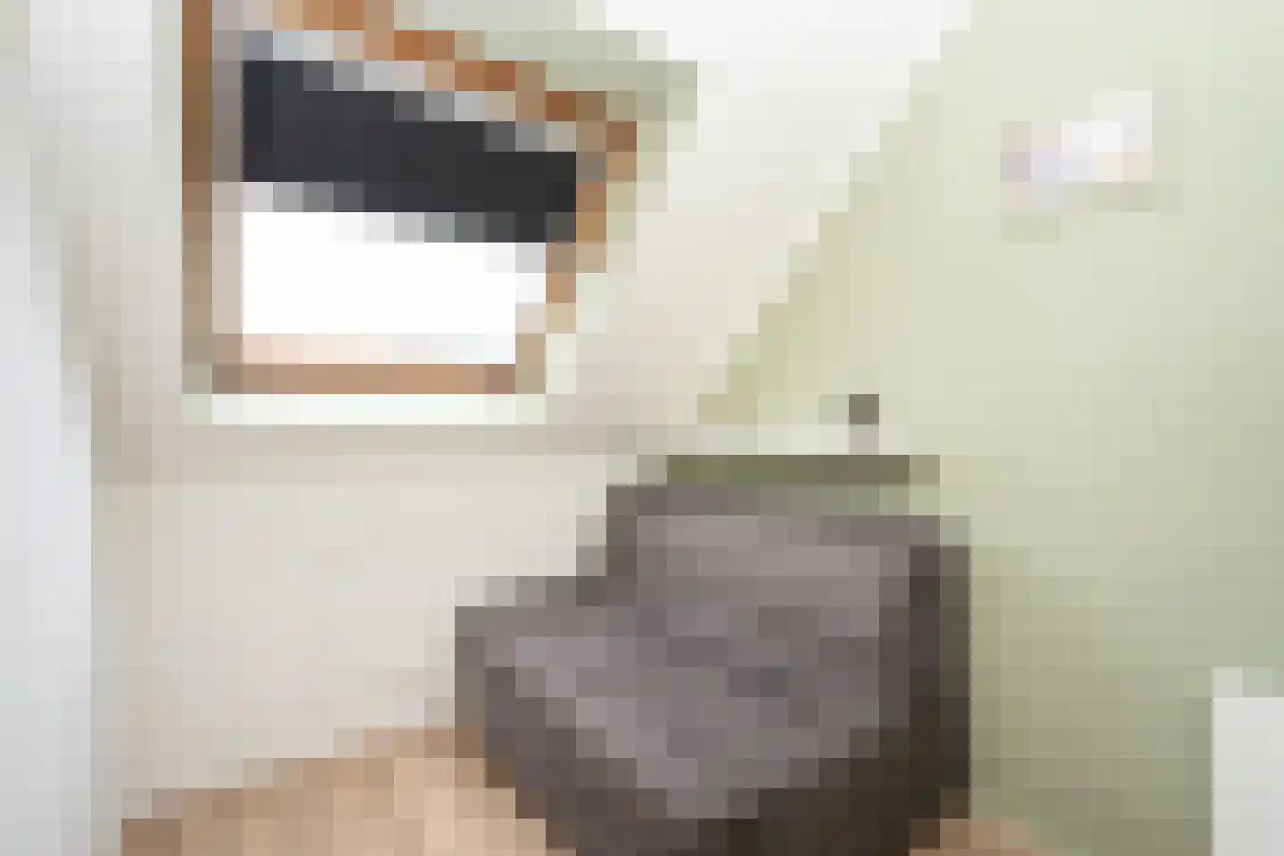 Nikadel 55 De Koog thumbnail 31
