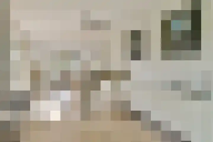 Nikestraat 7 Almere thumbnail 15