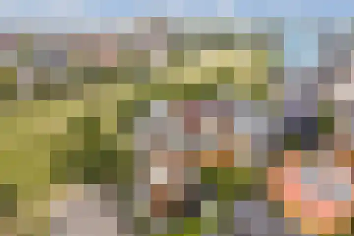 Nikestraat 7 Almere thumbnail 63