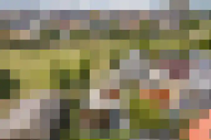 Nikestraat 7 Almere thumbnail 64