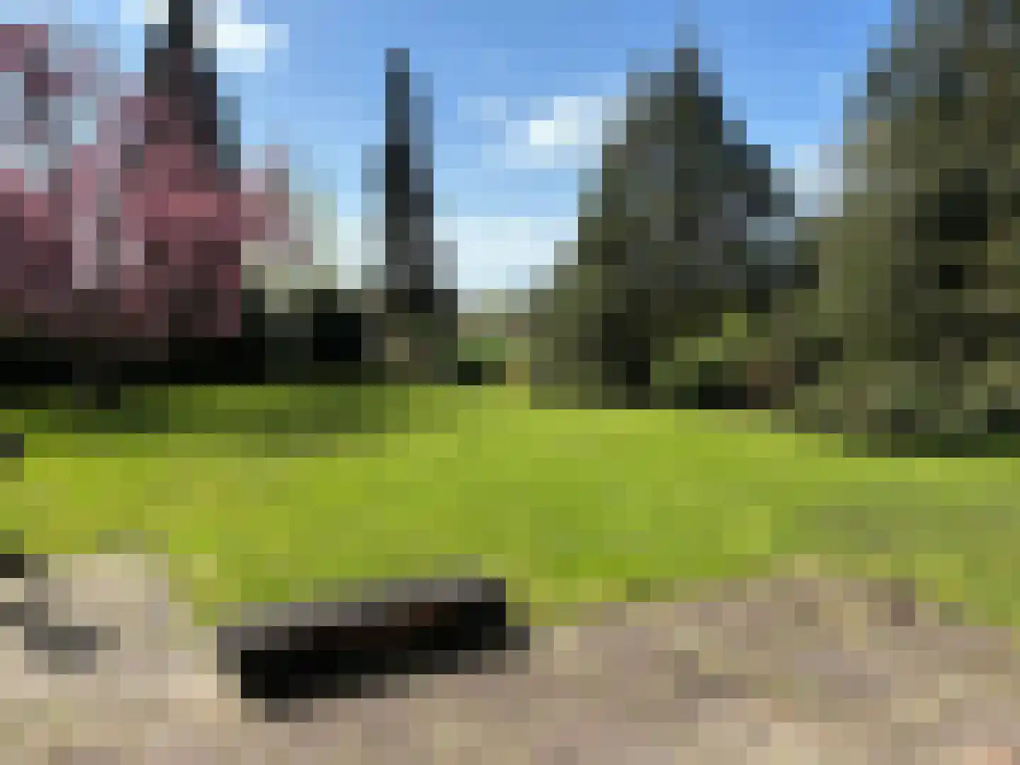 Nikkelsbergweg 1 Gorssel thumbnail 35