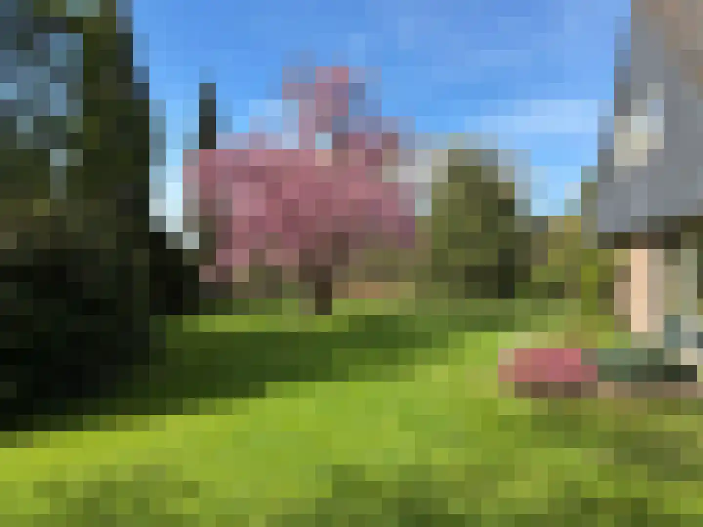 Nikkelsbergweg 1 Gorssel thumbnail 5
