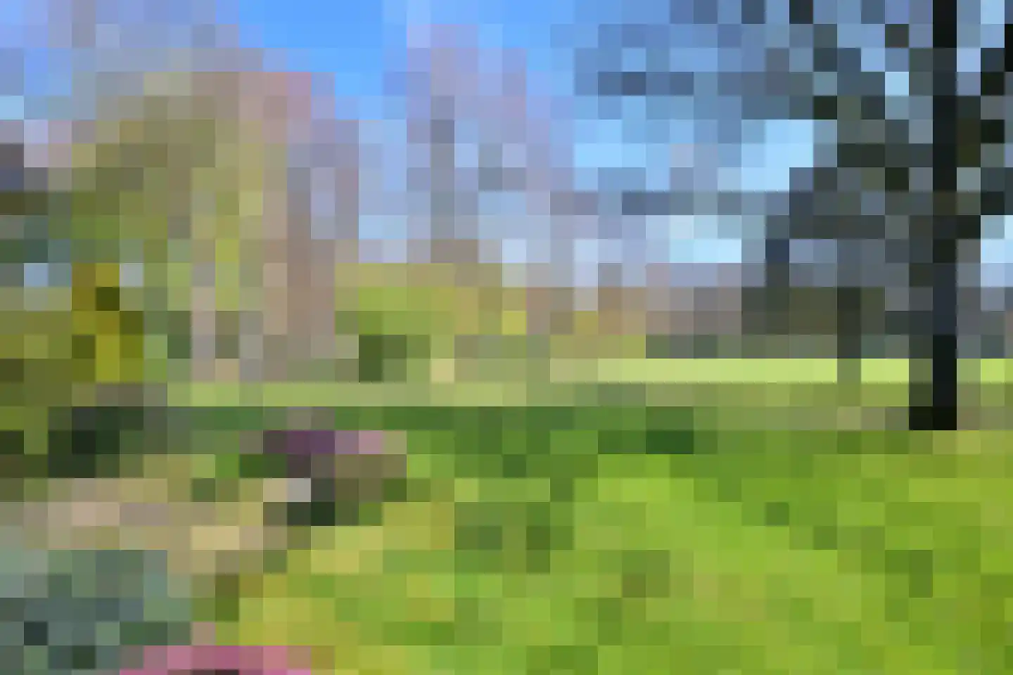 Nikkelsbergweg 1 Gorssel thumbnail 7