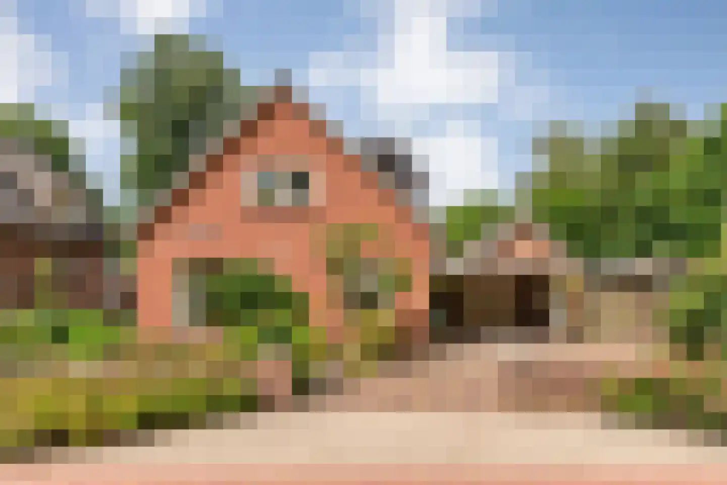 Nikkelsweg 27 in Bruinehaar