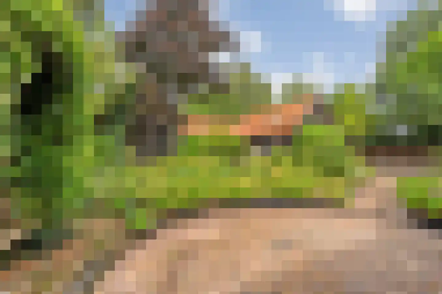 Nikkelsweg 27 Bruinehaar thumbnail 10