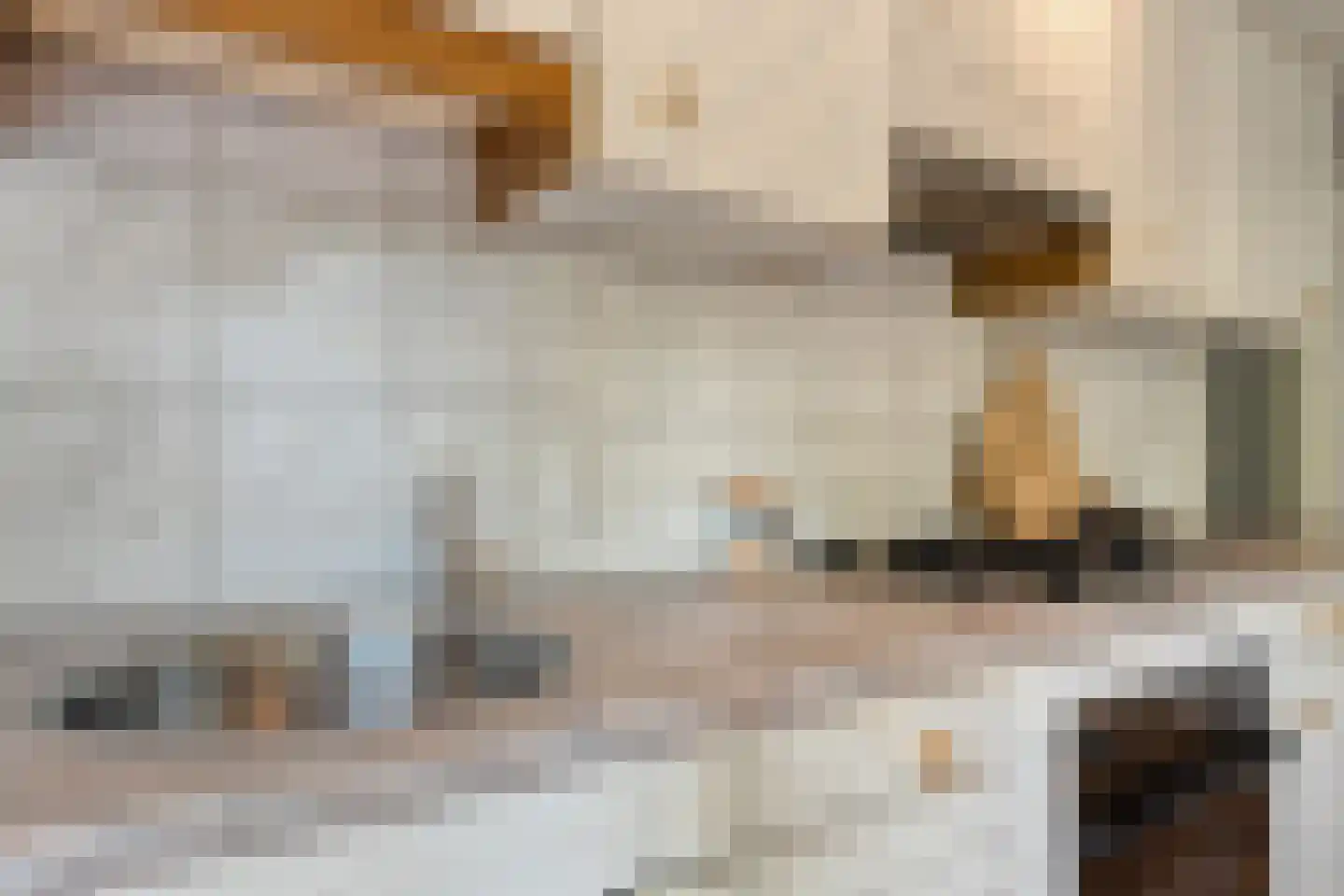 Nikkelsweg 27 Bruinehaar thumbnail 13