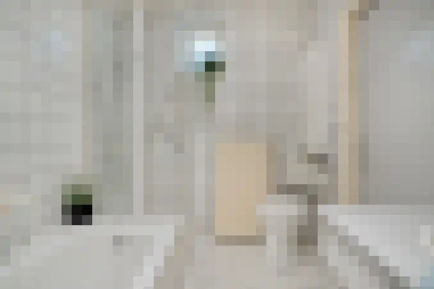 Nikkelsweg 27 Bruinehaar thumbnail 15
