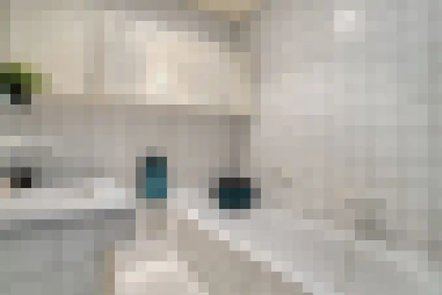 Nikkelsweg 27 Bruinehaar thumbnail 16