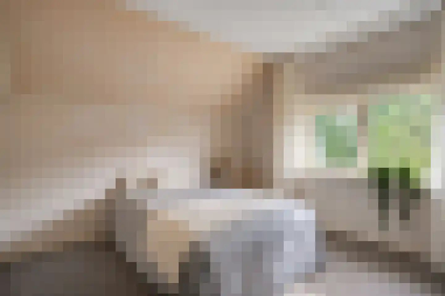 Nikkelsweg 27 Bruinehaar thumbnail 21