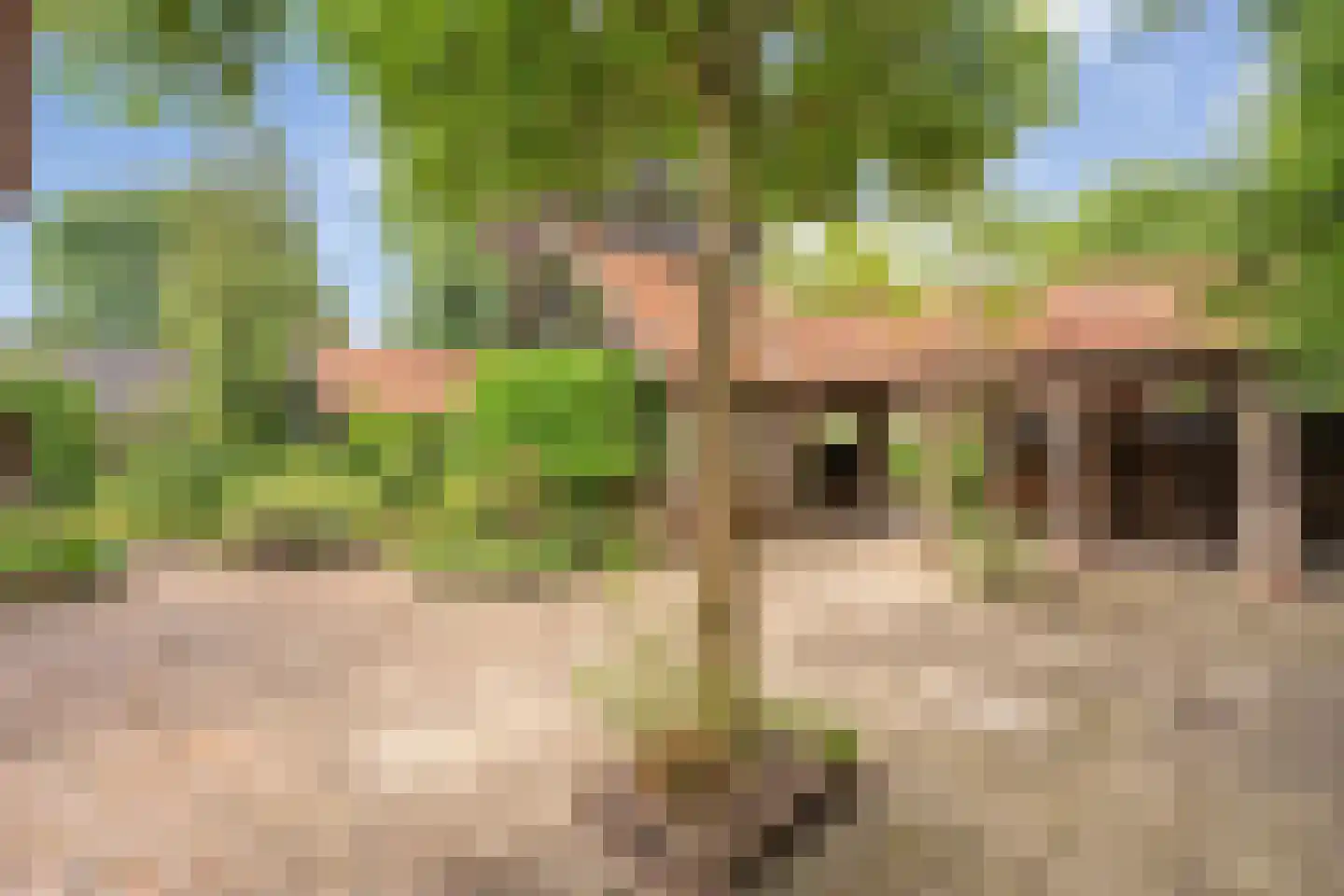 Nikkelsweg 27 Bruinehaar thumbnail 23