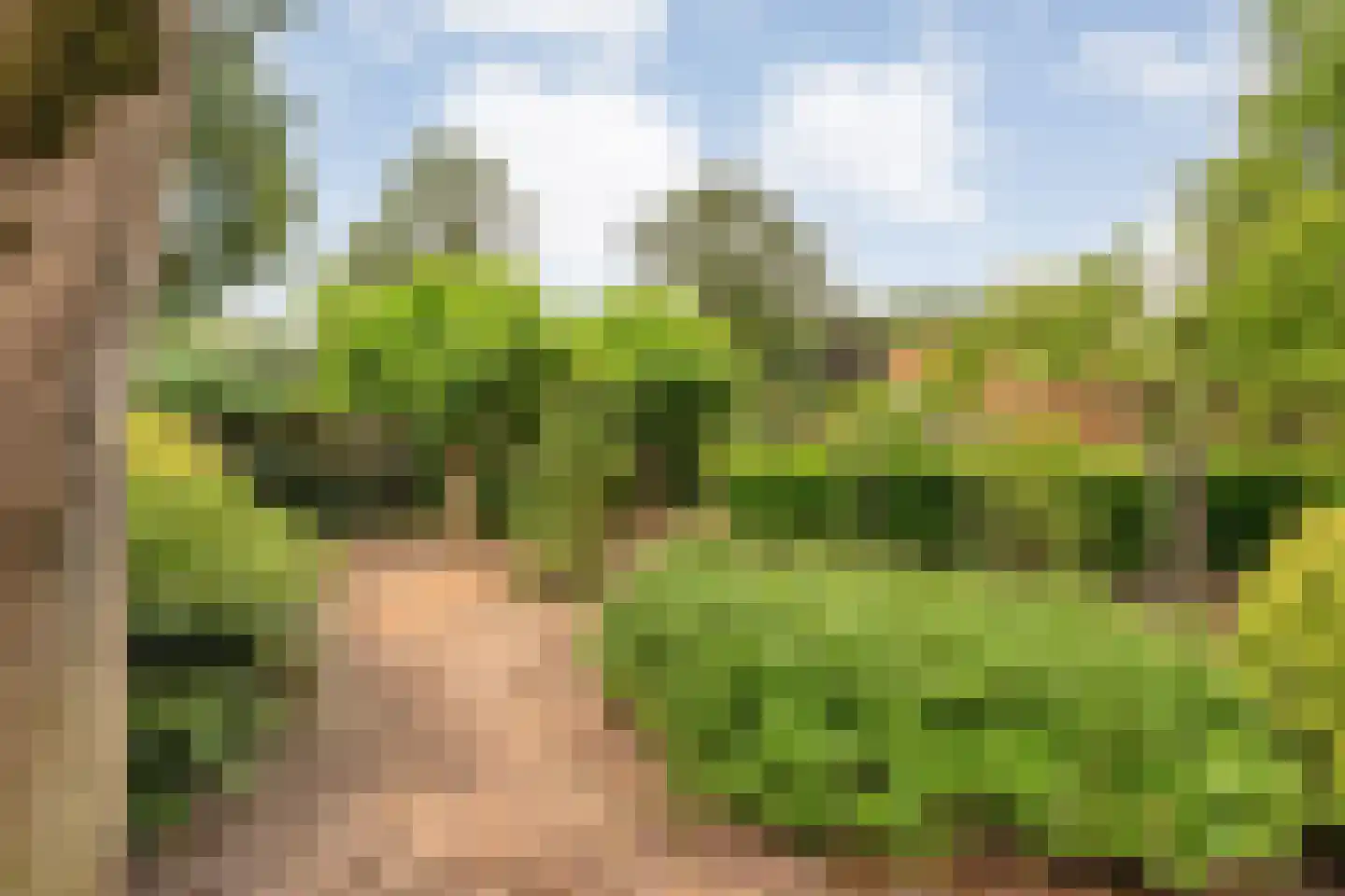 Nikkelsweg 27 Bruinehaar thumbnail 24