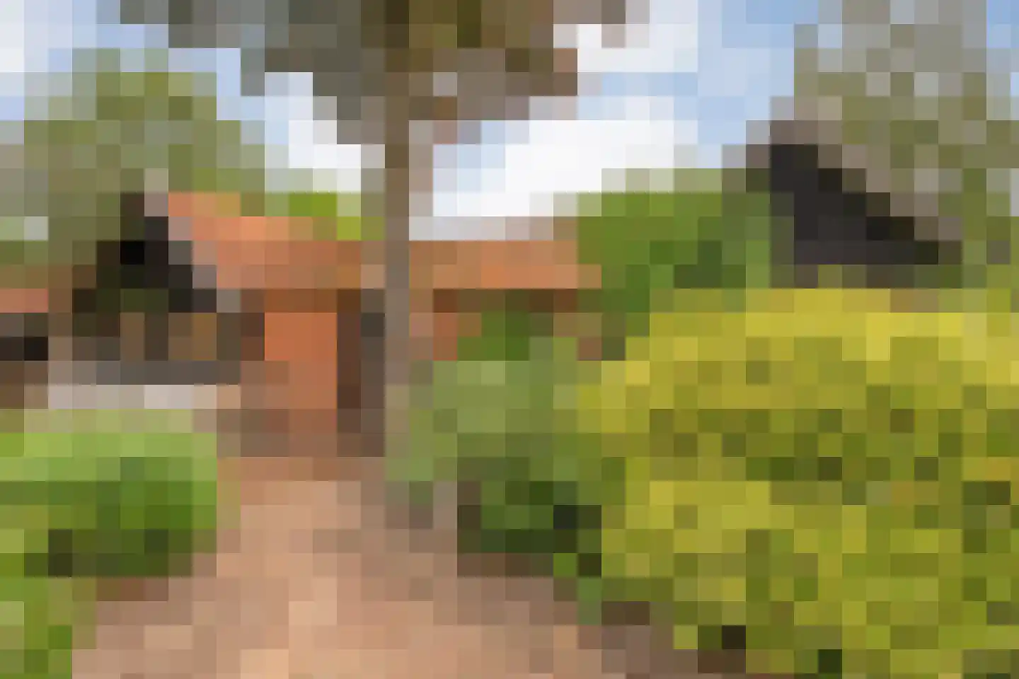Nikkelsweg 27 Bruinehaar thumbnail 25