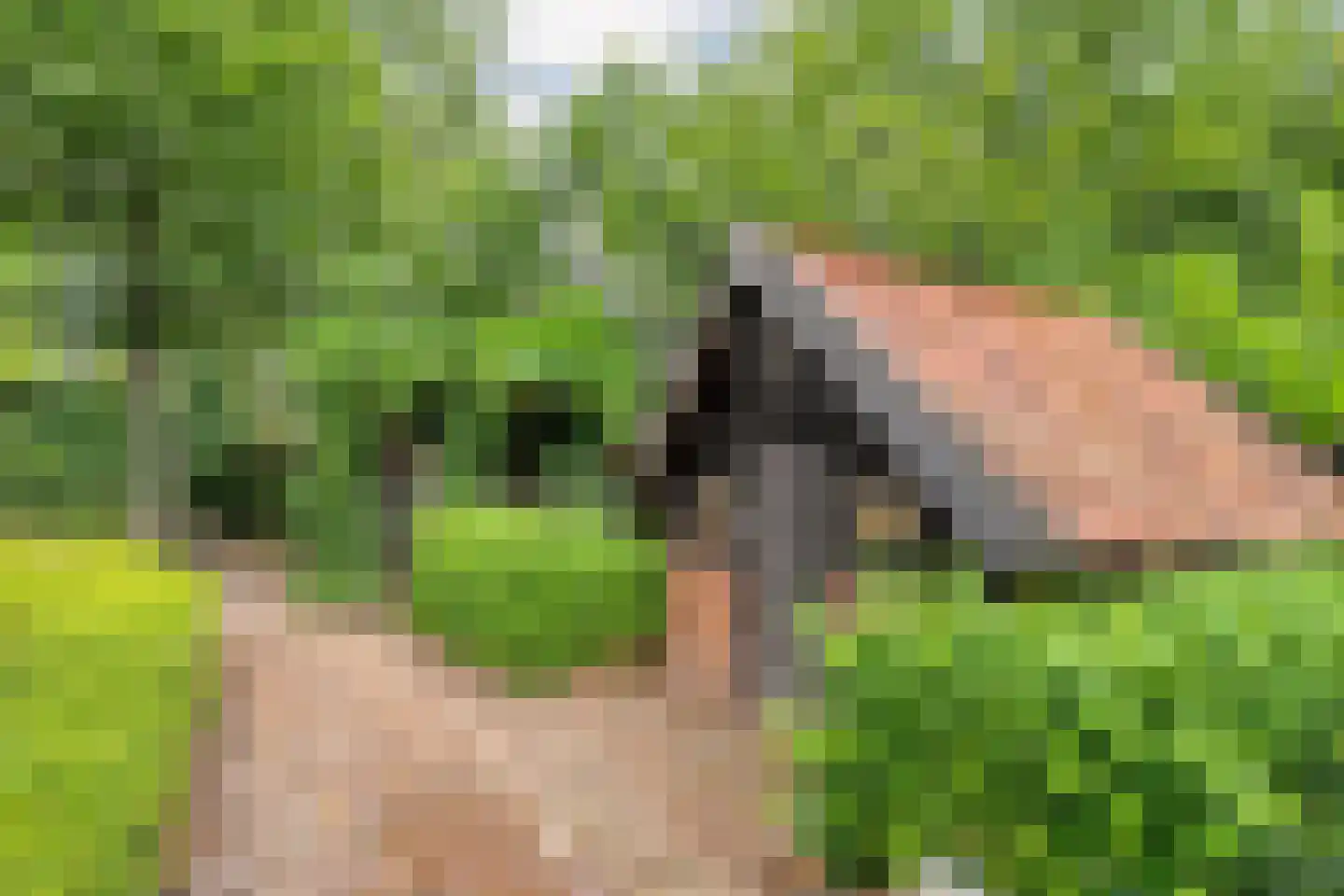 Nikkelsweg 27 Bruinehaar thumbnail 26