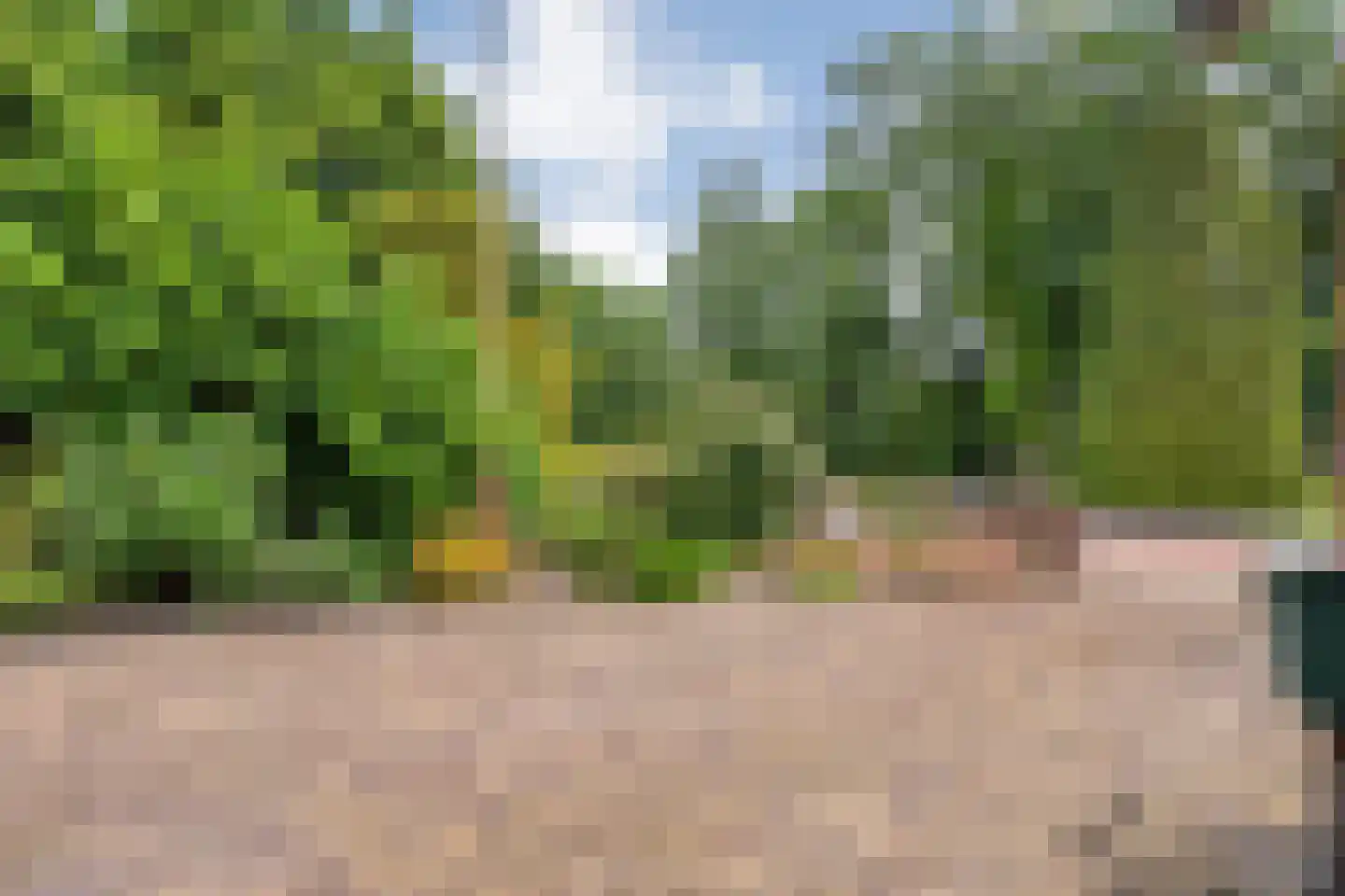 Nikkelsweg 27 Bruinehaar thumbnail 27