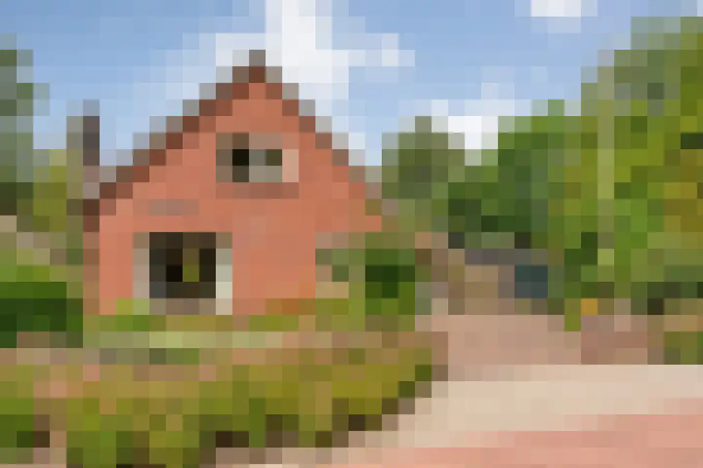Nikkelsweg 27 Bruinehaar thumbnail 28