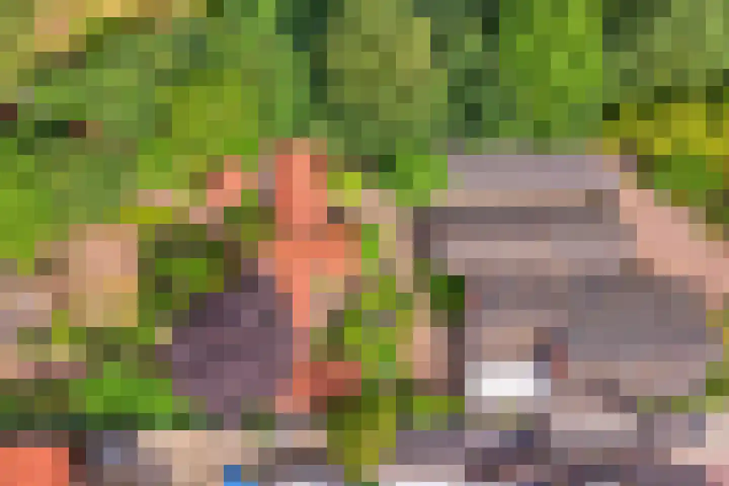 Nikkelsweg 27 Bruinehaar thumbnail 30