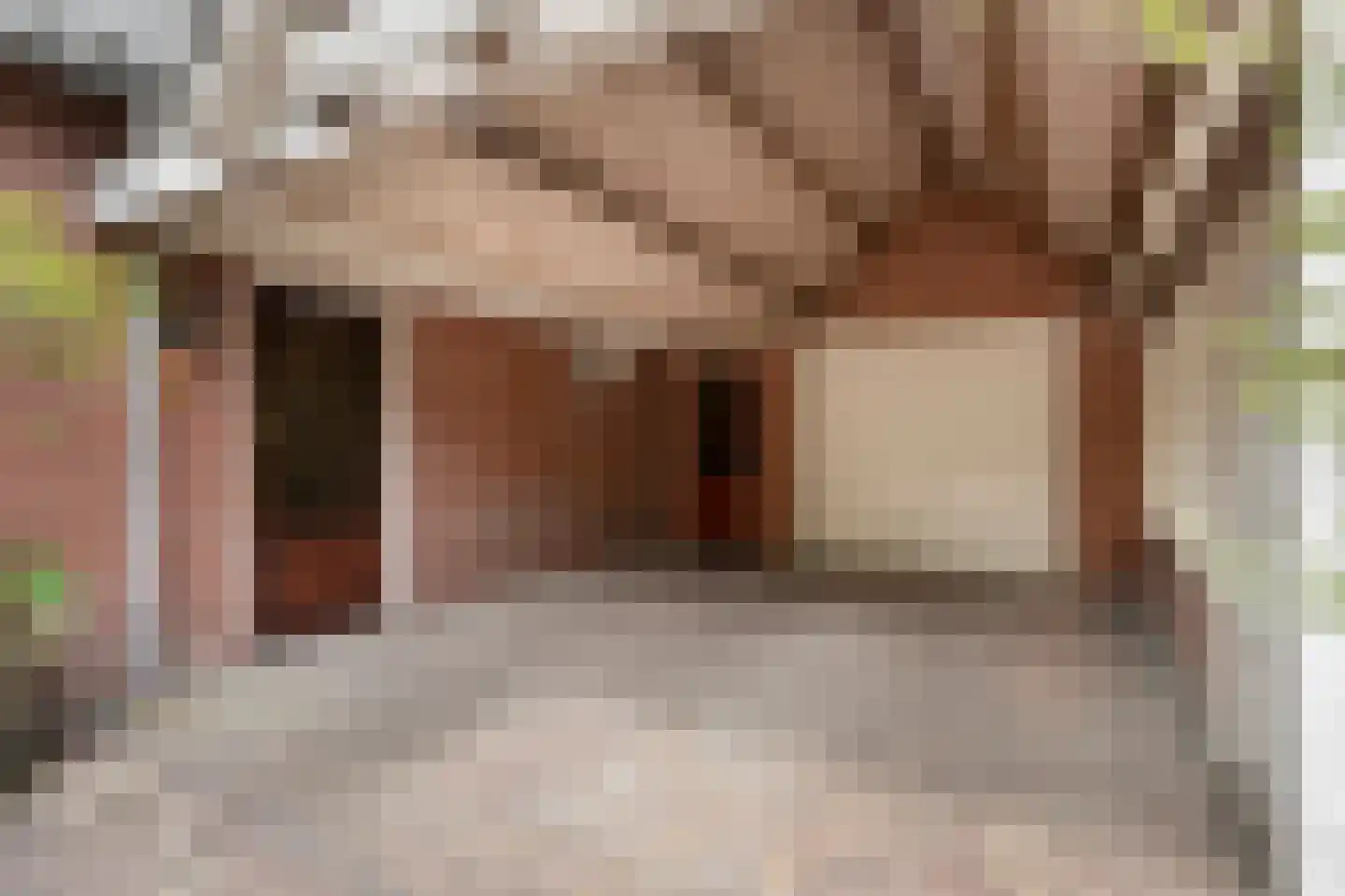 Nikkelsweg 27 Bruinehaar thumbnail 4
