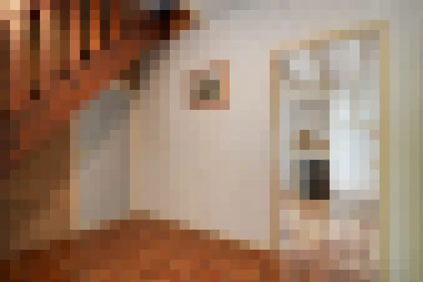 Nikkelsweg 27 Bruinehaar thumbnail 5