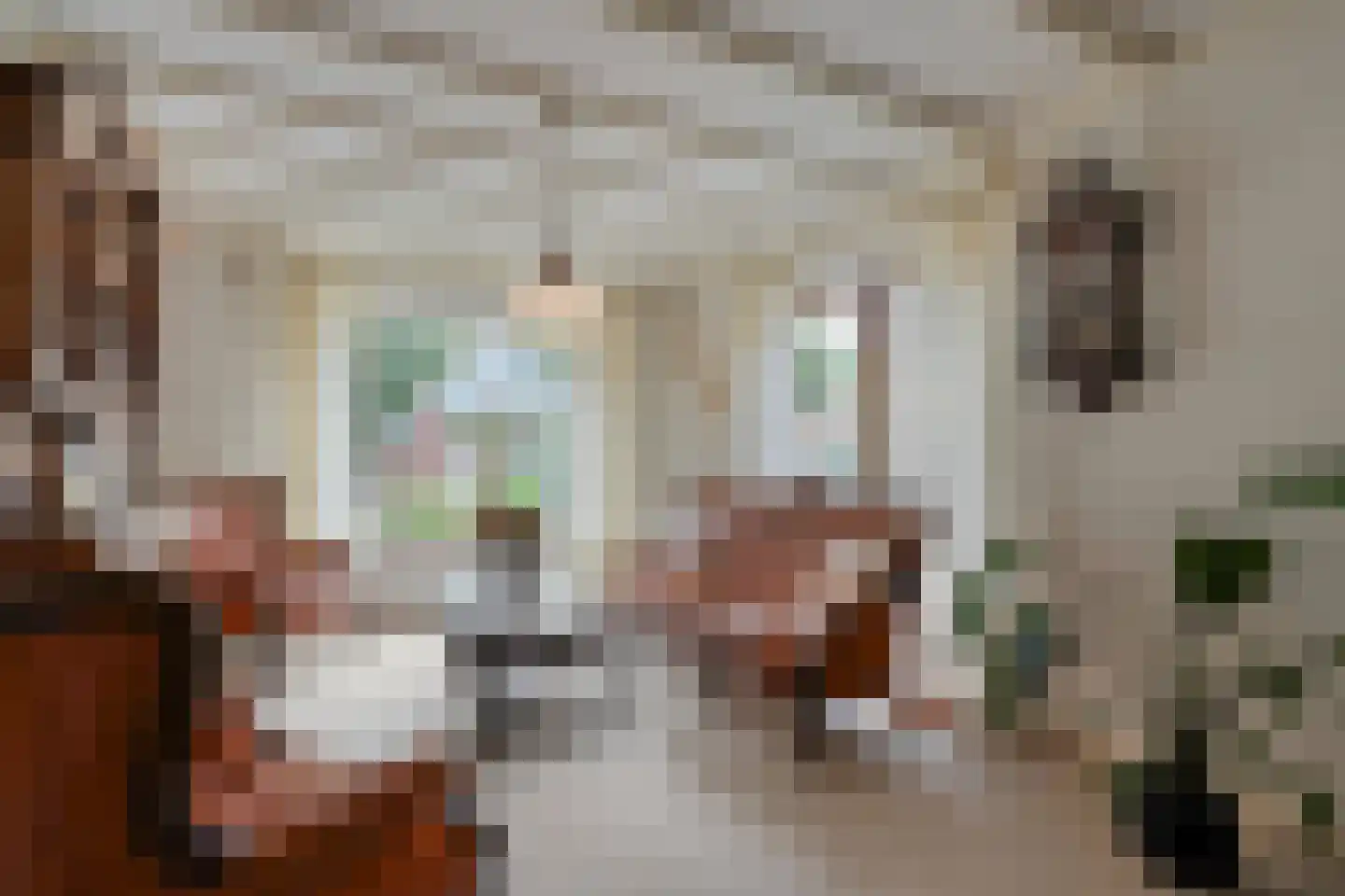 Nikkelsweg 27 Bruinehaar thumbnail 6