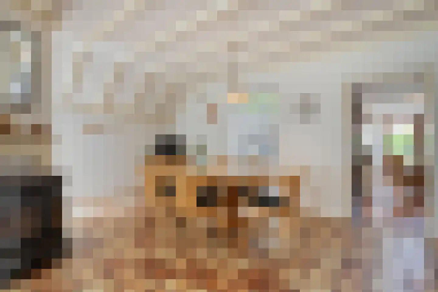 Nikkelsweg 27 Bruinehaar thumbnail 8