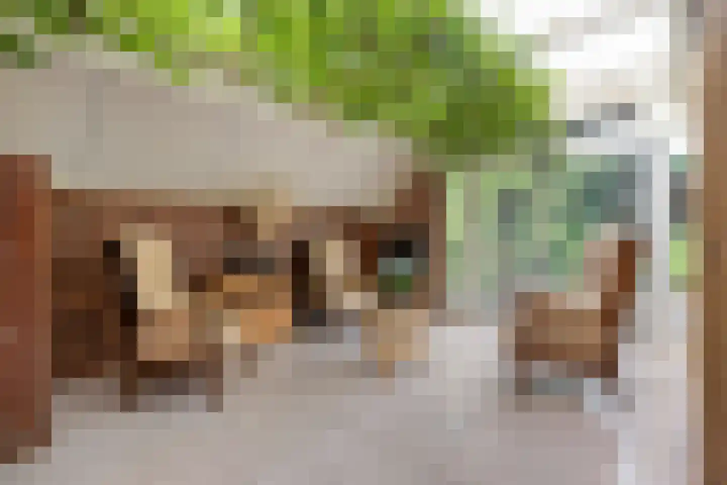Nikkelsweg 27 Bruinehaar thumbnail 9