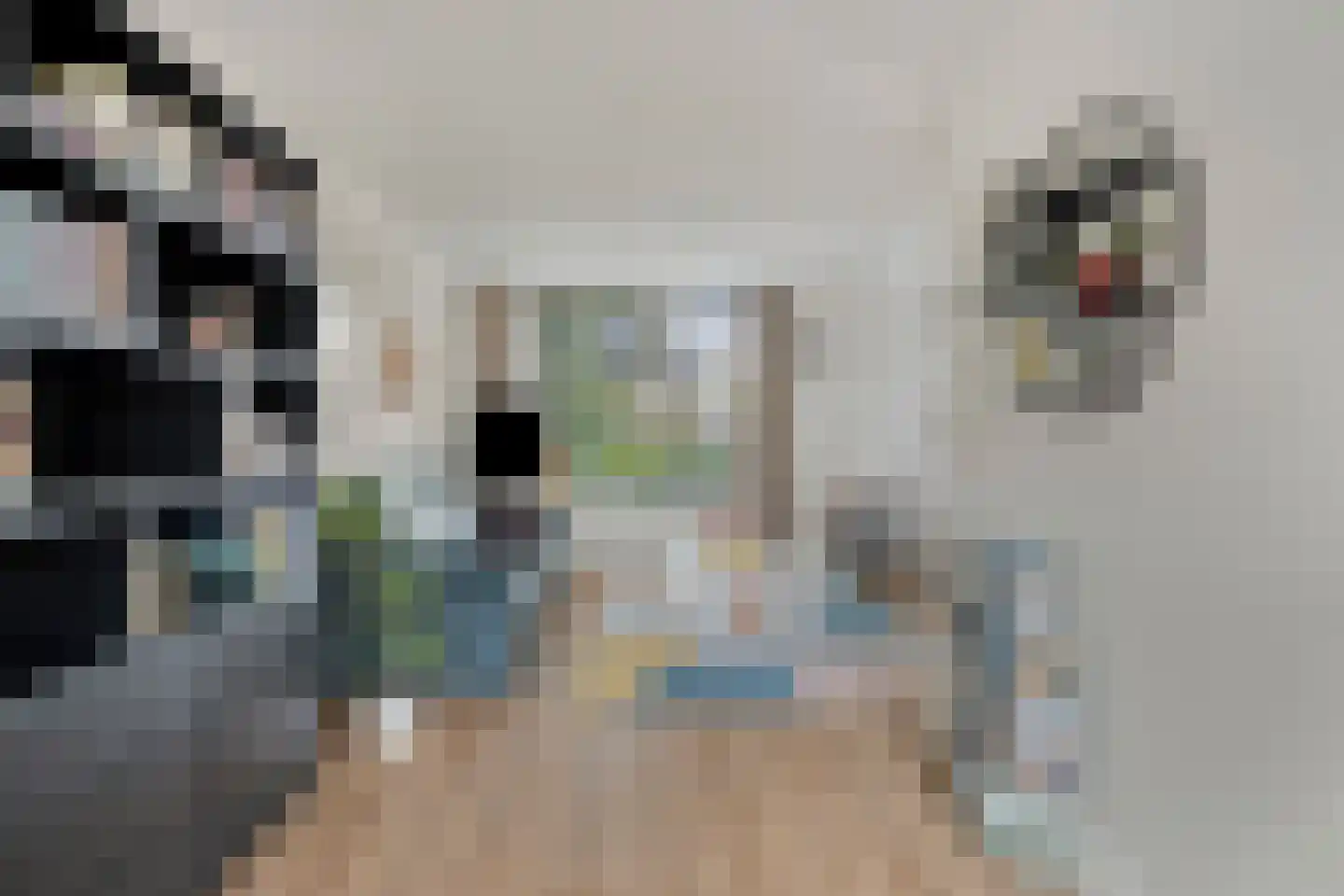Niklaasberg 1 Breda thumbnail 11