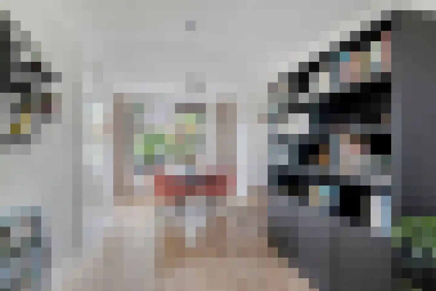 Niklaasberg 1 Breda thumbnail 16
