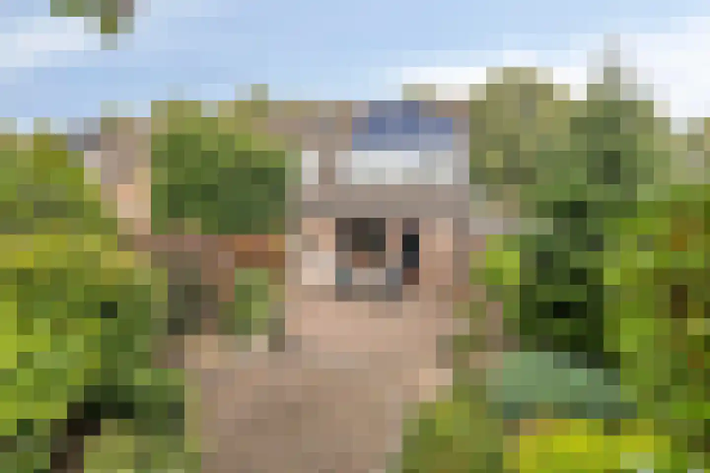 Niklaasberg 1 Breda thumbnail 43