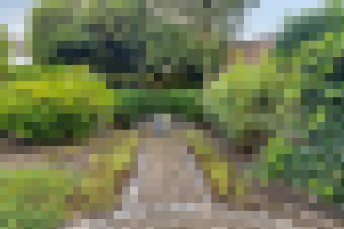 Niklaasberg 1 Breda thumbnail 44