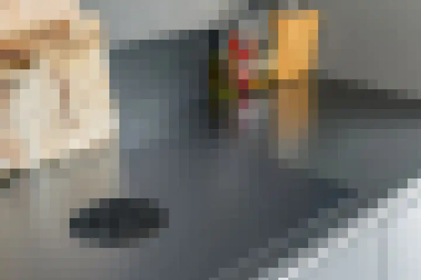 Niklaasberg 14 Breda thumbnail 14