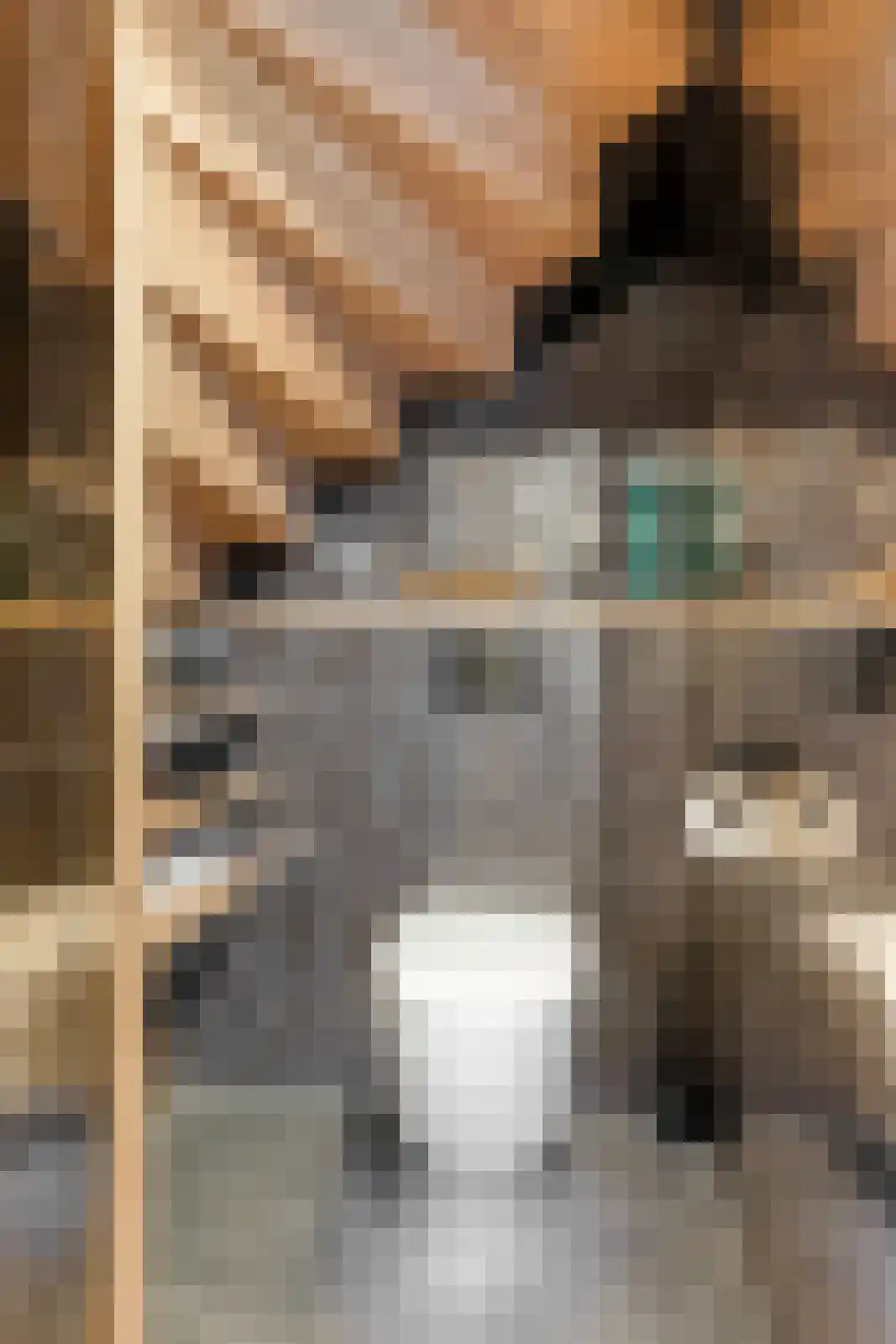 Niklaasberg 14 Breda thumbnail 17