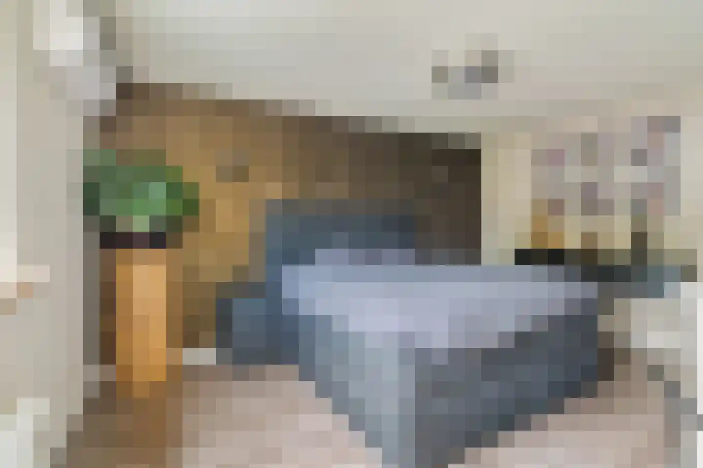Niklaasberg 14 Breda thumbnail 20
