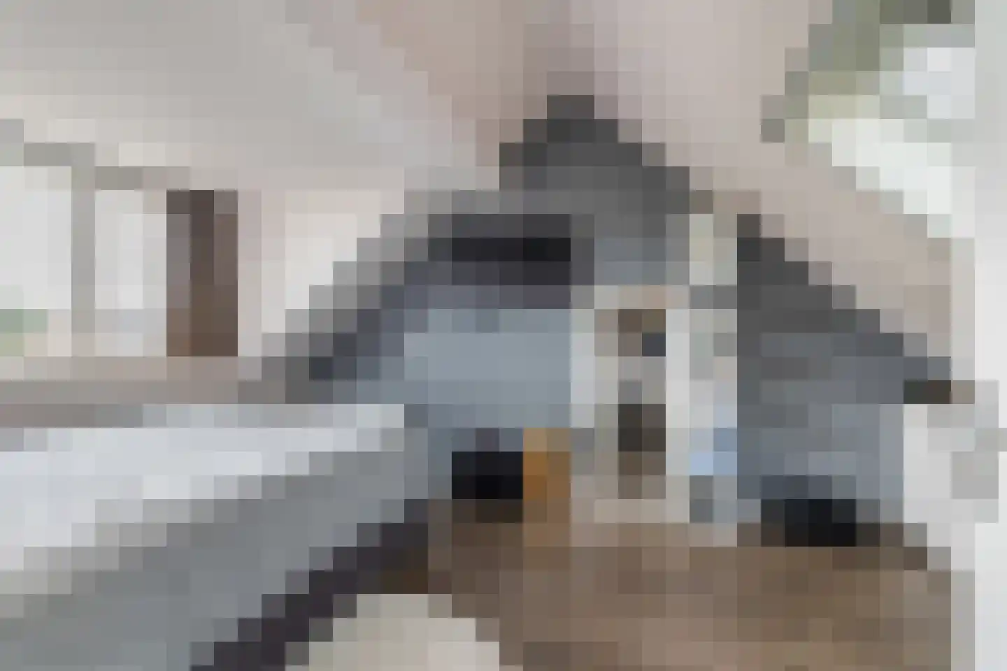 Niklaasberg 14 Breda thumbnail 23