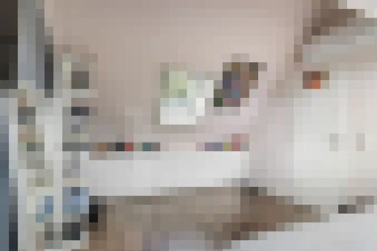 Niklaasberg 14 Breda thumbnail 25