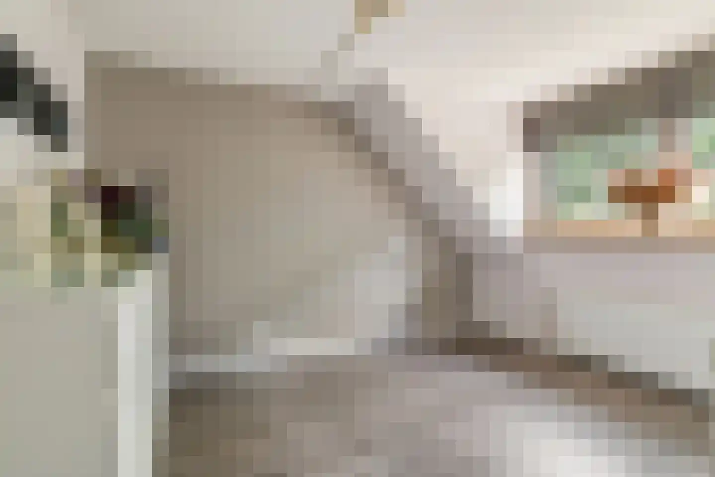 Niklaasberg 14 Breda thumbnail 27