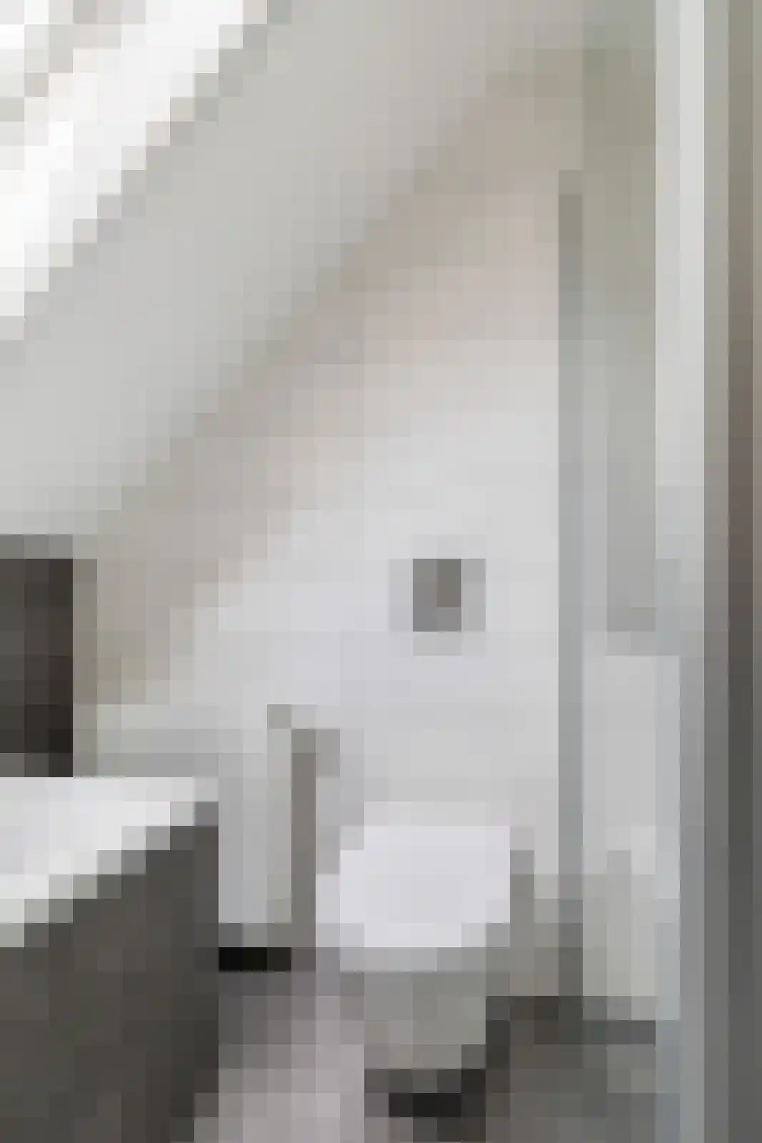 Niklaasberg 14 Breda thumbnail 29