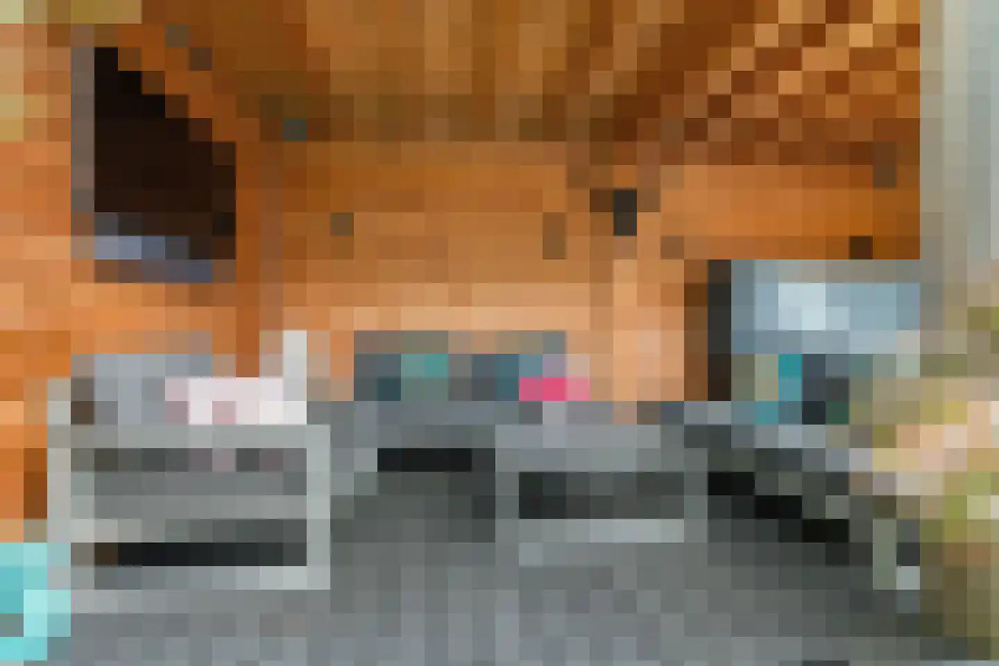 Niklaasberg 14 Breda thumbnail 31