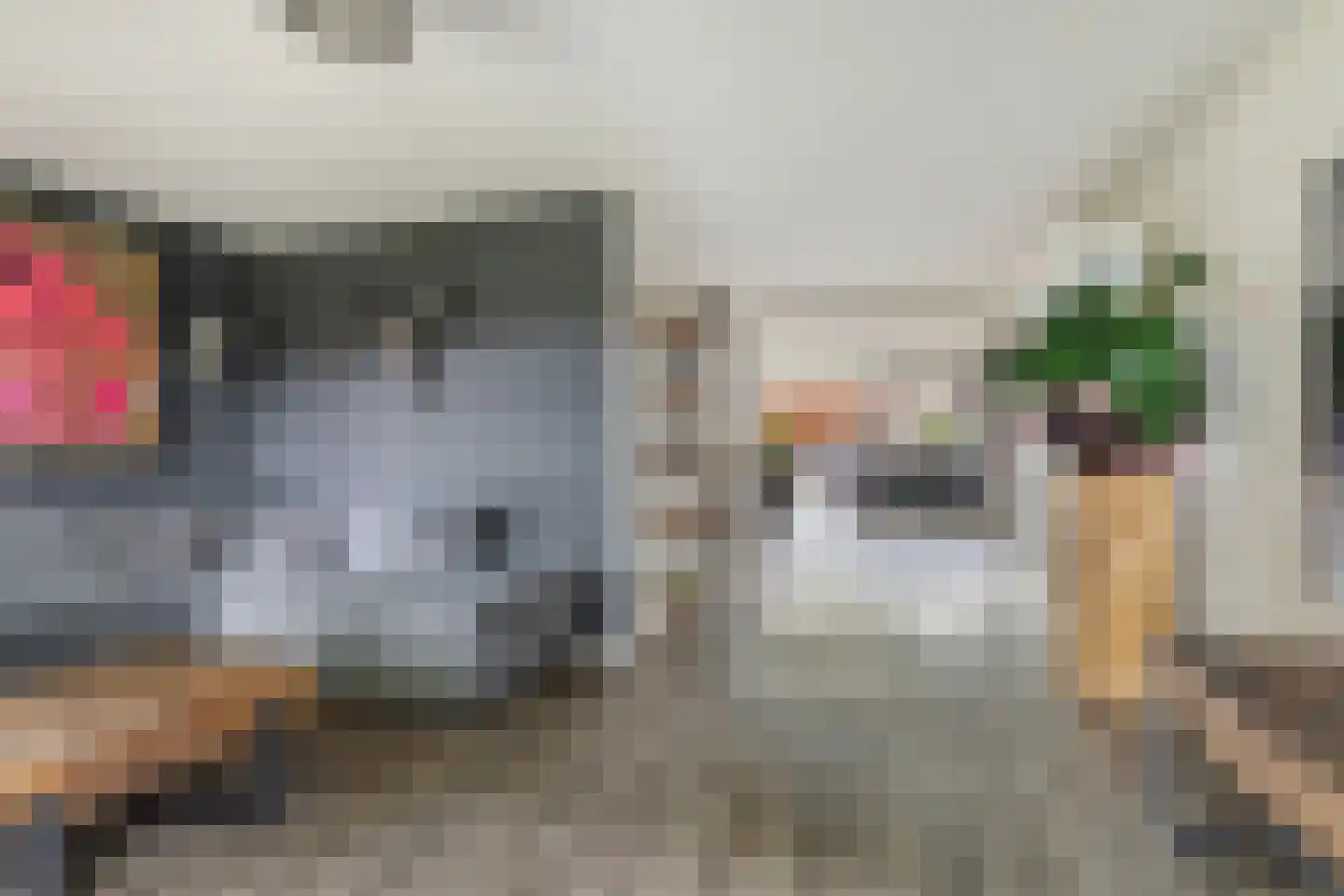Niklaasberg 14 Breda thumbnail 7