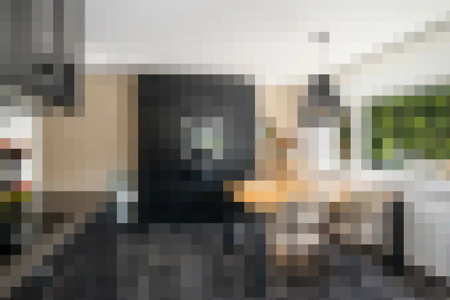 Nikolaus Boutstraat 11 Westmaas thumbnail 17