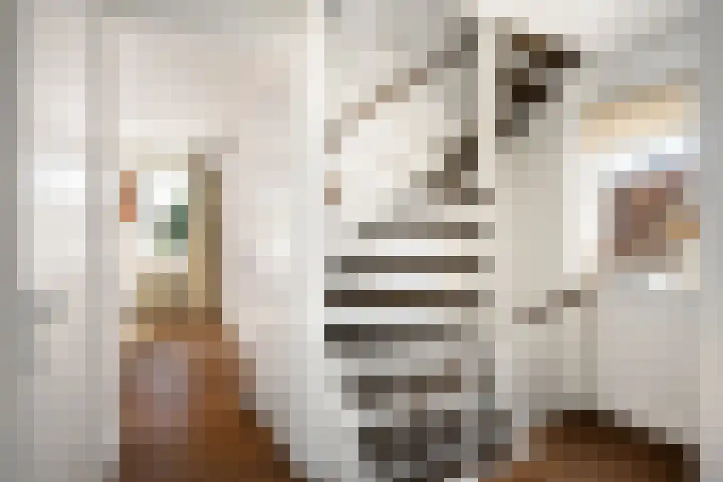 Nikolaus Boutstraat 11 Westmaas thumbnail 19