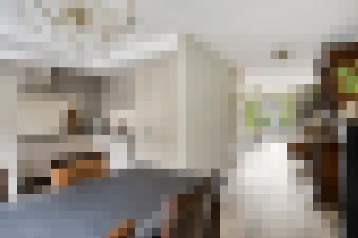 Nikolaus Boutstraat 19 Westmaas thumbnail 12