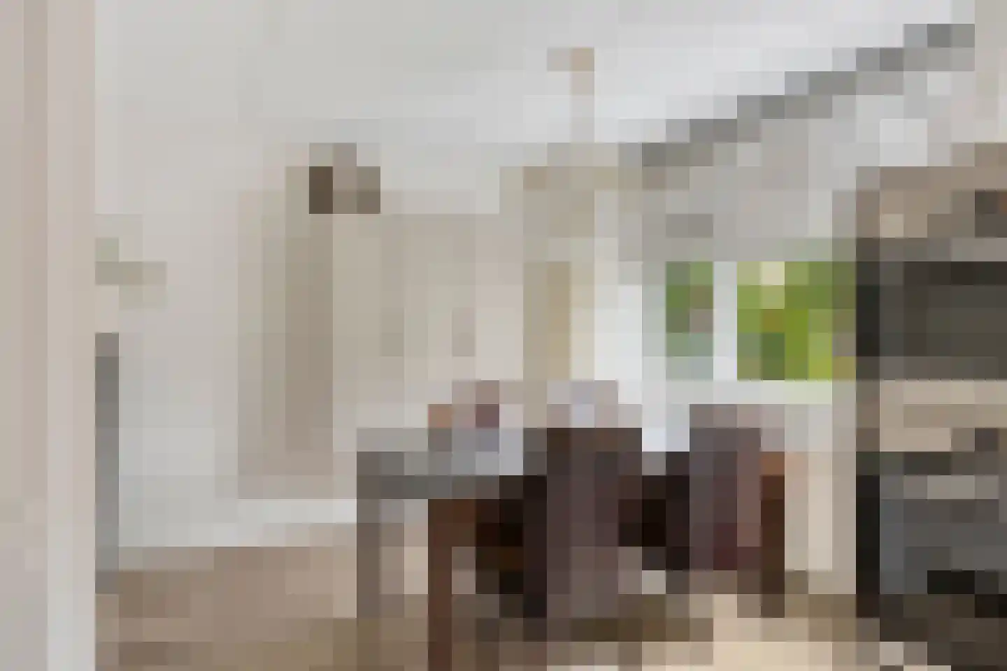 Nikolaus Boutstraat 19 Westmaas thumbnail 13