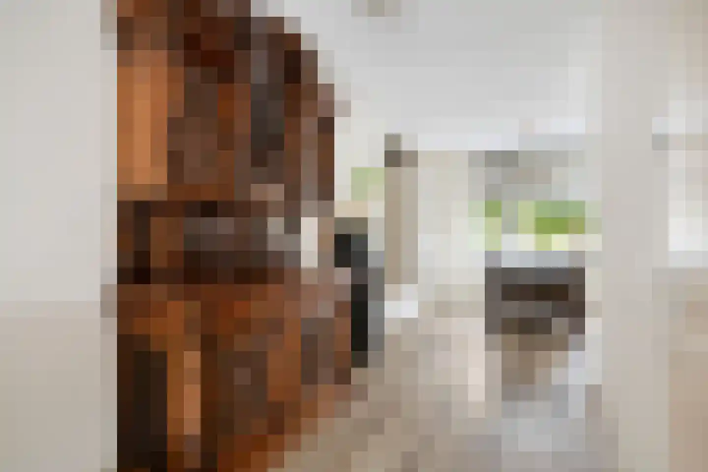 Nikolaus Boutstraat 19 Westmaas thumbnail 16