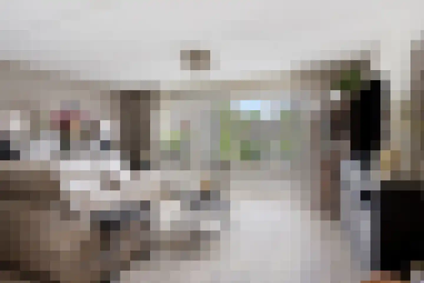 Nikolaus Boutstraat 19 Westmaas thumbnail 17